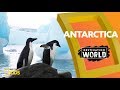 Antarctica  Destination World