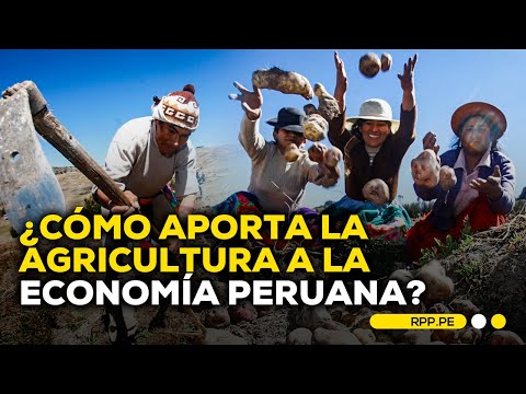 Día del Campesino: ¿Cómo aporta la agricultura a la economía peruana?