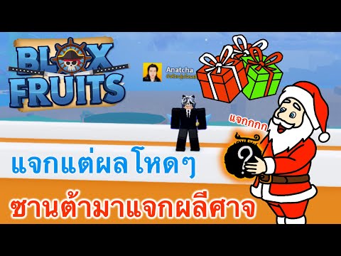 BloxFruitวันนี้ซานต้ามาแจกผล