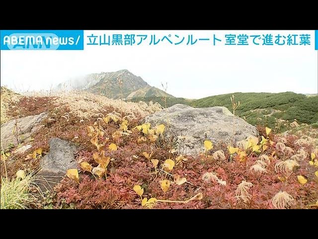 Image of 立山阿尔卑斯路线沐浴在秋日色彩中，预计在十月达到高峰