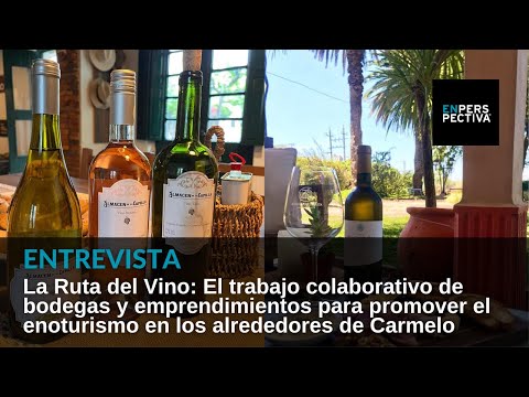 La Ruta del Vino: El trabajo colaborativo de bodegas y emprendimientos turísticos de Carmelo