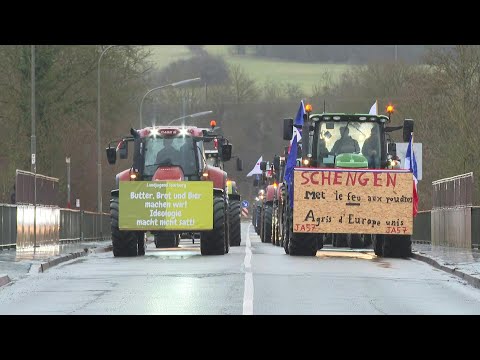 Crise agricole: des agriculteurs arrivent en tracteurs à Schengen, au Luxembourg | AFP Images