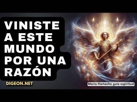 AHORA LO ENTENDERÁS TODOMENSAJE DE LOS ÁNGELES PARA TI -DIGEON- Arcángel jofiel- Enseñanza VERTI