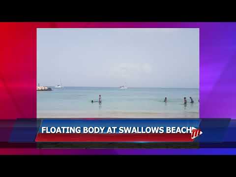 Floating Body At Swallows Beach