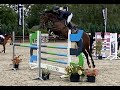 Show jumping horse 13-jarige merrie voor sport, fokkerij of recreatie