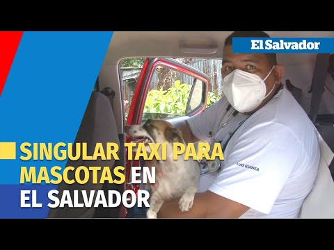 El Taxi para mascotas de El Salvador