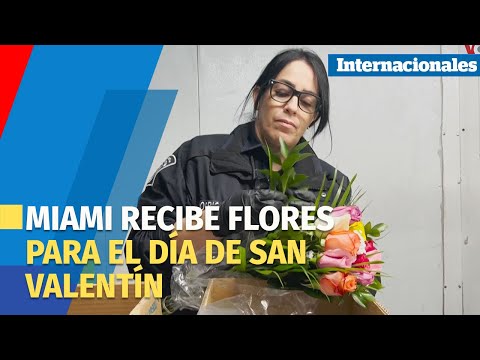 Miami recibe flores del continente que estadounidenses regalarán en el Día del amor y la amistad