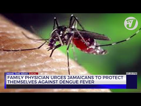 Family Physician Urges Jamaicans to Protect themselves Against Dengue Fever | TVJ News