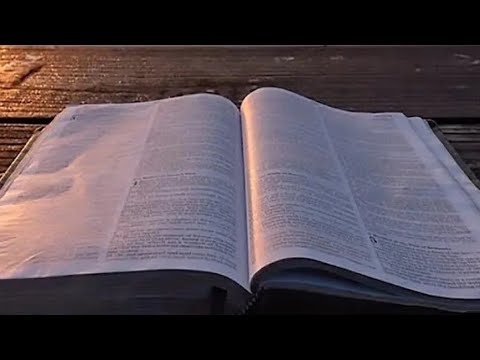 OFICIO DE LECTURA.  SÁBADO 5 OCTUBRE/24. LITURGIA DE LAS HORAS.