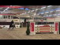 Show jumping horse Knappe 12 jarige merrie M springen