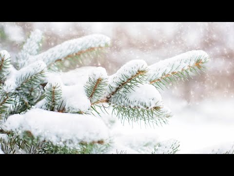 Jose Feliciano - Jingle Bells  [HD]