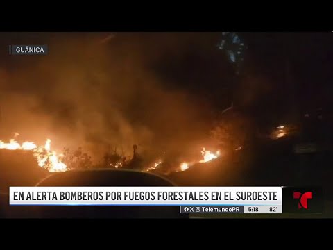 Bomberos tardaron seis horas para extinguir intenso fuego forestal en Guánica