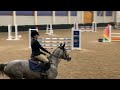 Springpferd Super amateur 120 mare BOMBPROOF with a lot of show experience