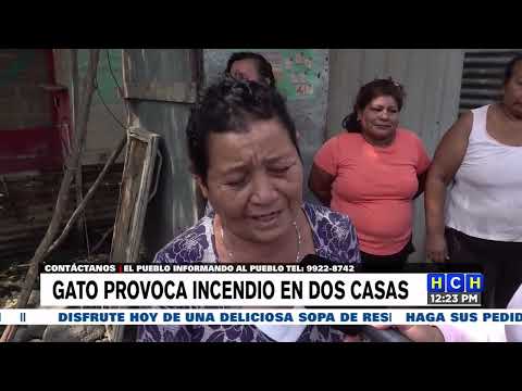 En la calle quedan dos familias por incendio provocado por un gato en San Pedro Sula