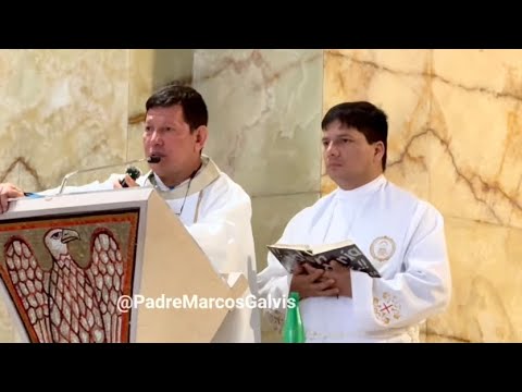 NO MATARÁS  Padre Luis Toro y Padre Marcos Galvis