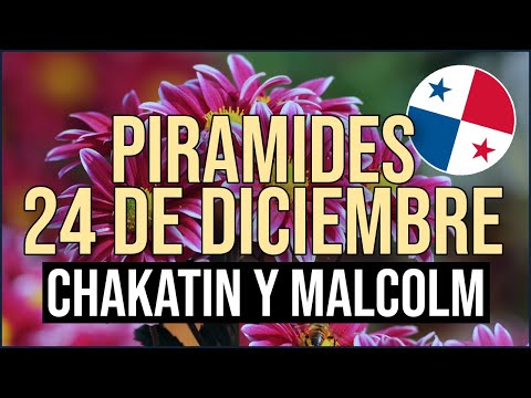 Pirámide Lotería de Panamá Domingo 24 de Diciembre 2023  - Pirámide de Chakatin y Malcolm Ramos