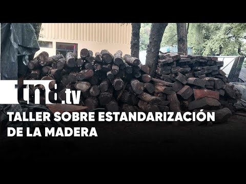 Funcionarios de MARENA e INAFOR participan en taller sobre la madera - Nicaragua