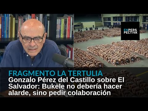 El Salvador: Bukele debería pedirle colaboración a las organizaciones internacionales de DDHH