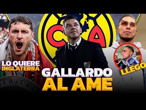 OFICIAL: SALCEDO LLEGÓ A CRUZ AZUL | NUEVO DT DEL AMÉRICA | ORBELÍN CAMPEÓN EN GRECIA | NOTICIAS HOY