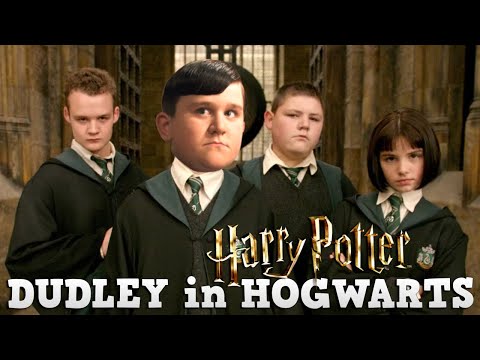Was wäre wenn DUDLEY DURSLEY nach HOGWARTS gekommen wäre?! 👊