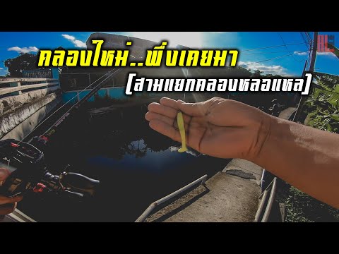 เสาะหาคลองใหม่ๆ-สามแยกคลองหลอแ เสาะหาคลองใหม่ๆ-สามแยกคลองหลอแ