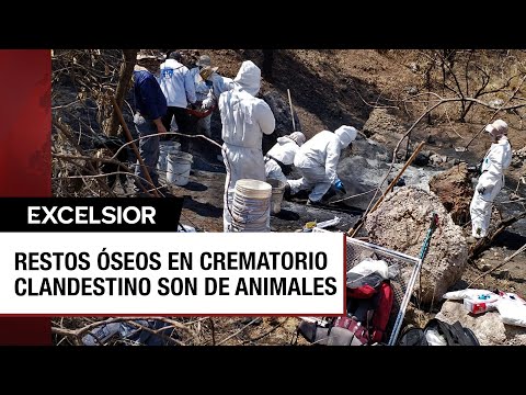 Fiscalía de CDMX descarta presencia de restos humanos en crematorio clandestino