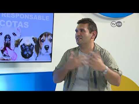 TVCO NOTICIAS - Columna de tenencia responsable de mascotas con el veterinario Milton Gorra Vega