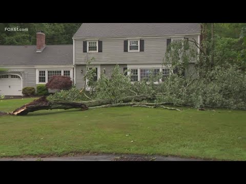 Downed power lines, trees cause road closures in Connecticut as storm sweeps through