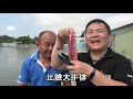 109斤大石斑!!實測全台禁用釣餌!!竟然秒殺老闆賠慘了!!Giant grouper fishing