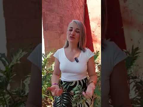 Testimonio Ana María Palacio misión empresarial en Guanajuato - México