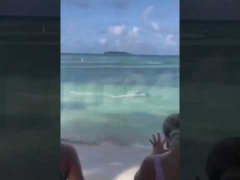 Tiburón atacó mantarraya y causó sorpresa y terror entre bañistas en playas de San Andrés Isla