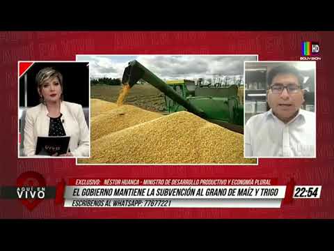 Gobierno mantiene la subvención al grano de maíz y trigo