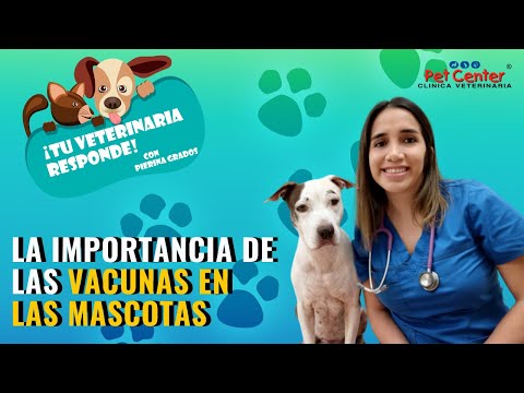La importancia de las vacunas en las mascotas | #TuVeterinariaResponde