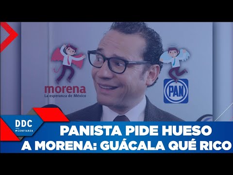 Panista insulta a Morena y luego le pide hueso ¡Guácala, qué rico!