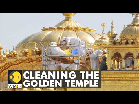 🌎50 volunteers from UK reach India for cleaning the Golden Temple | World News | WION