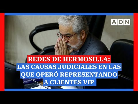 Redes de Hermosilla: las causas judiciales en las que operó representando a clientes VIP