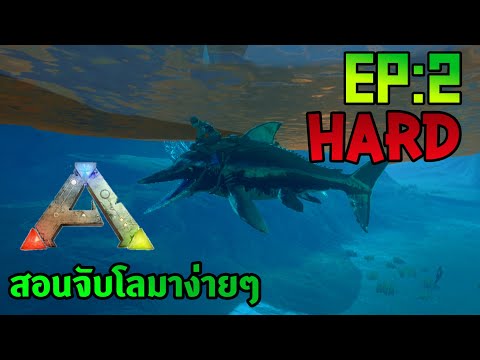 ArkMobileHardสอนจับโลมาง่าย