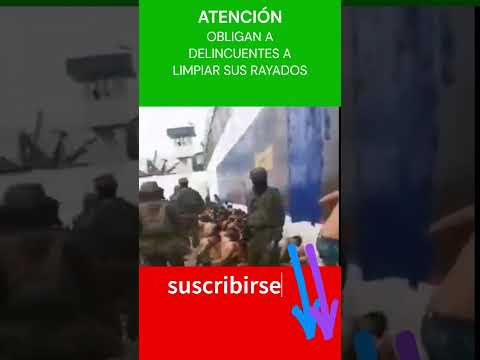 #ECUADOR OBLIGAN A DELINCUENTES A LIMPIAR SUS RAYADOS