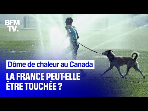 Dôme de chaleur au Canada: la France peut-elle être touchée 