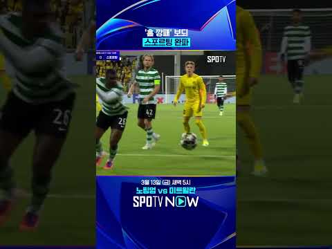 홈 깡패 보되의 얼음 왕국