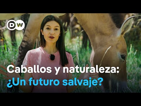 Cómo surge un oasis natural en España | Pequeños proyectos, grandes cambios