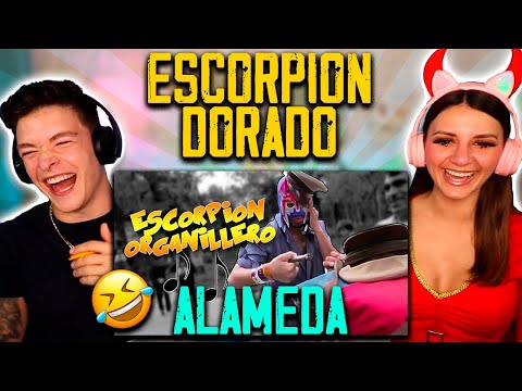 REACCIONAMOS a ESCORPION DORADO SUELTO en LA ALAMEDA de CIUDAD de MEXICO  *ESTÁ MUY LOCO*