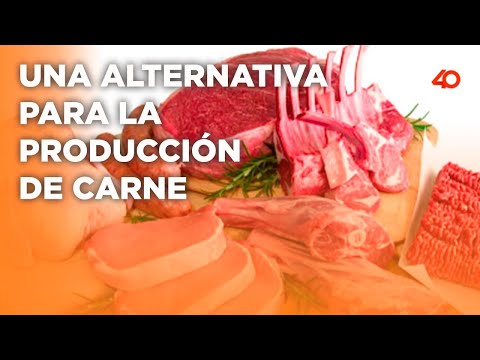 Una alternativa a la producción de carne logrará una revolución en la industria alimentaria.