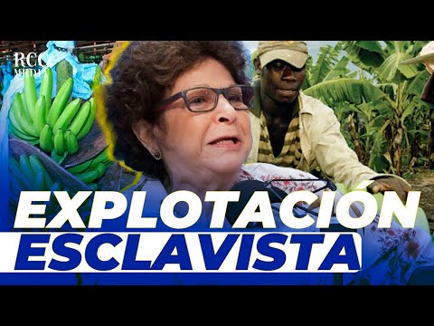 Consuelo Despradel: “Prefirieron que la República Dominicana caiga en la miseria”