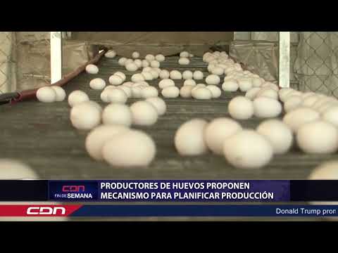 Productores de huevos proponen mecanismos para planificar producción