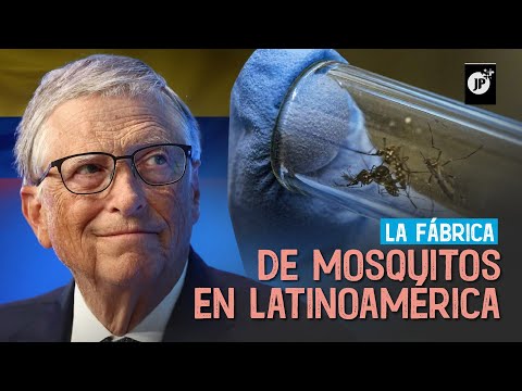 La fábrica de mosquitos de Bill Gates en Latinoamérica