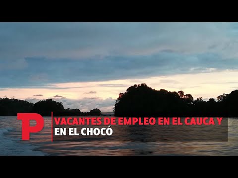 Vacantes de empleo en el Cauca y en el Chocó I30.11.2023I Telepacífico Noticias