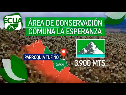600 familias asumieron la misión de conservar el área de la comuna La Esperanza  | Ecuavisa