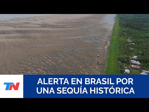 BRASIL: Situación crítica en afluentes del río Amazonas por la sequía que genera escasez de agua