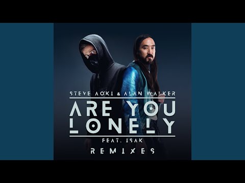 Are You Lonely (Steve Aoki Remix)